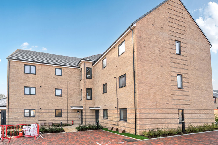 1347456 5 68F8b7d446861