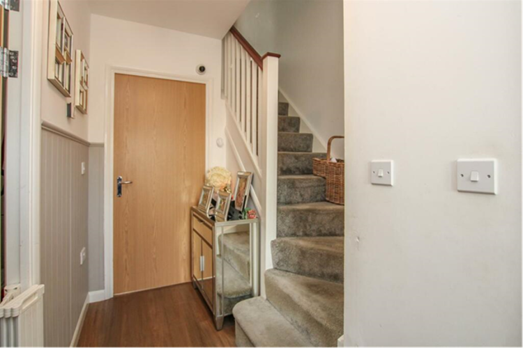 Picture8