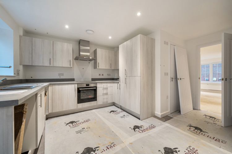 1404592 2 6981Cf6c16597 (1)