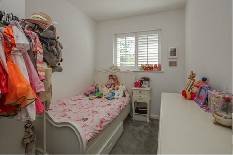 Picture5