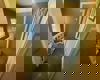 Thumnail Img 20250215 Wa0087